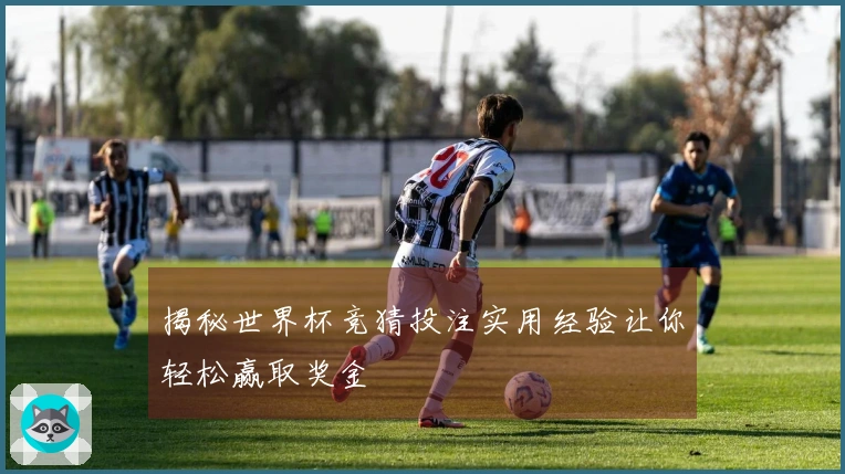 揭秘世界杯竞猜投注实用经验让你轻松赢取奖金