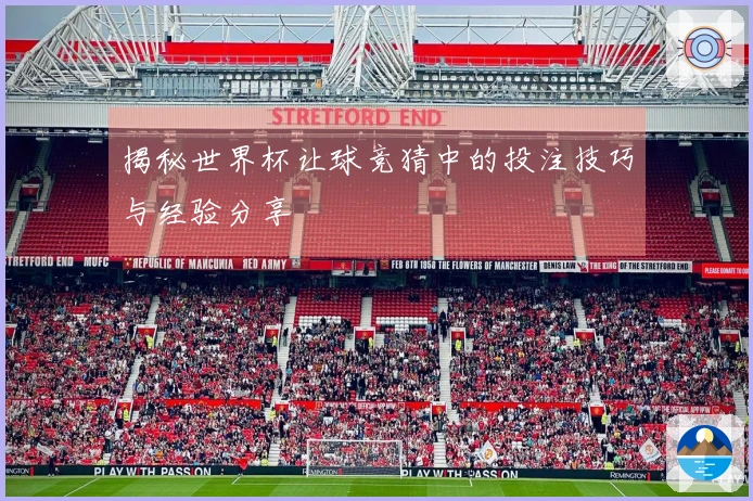 揭秘世界杯让球竞猜中的投注技巧与经验分享