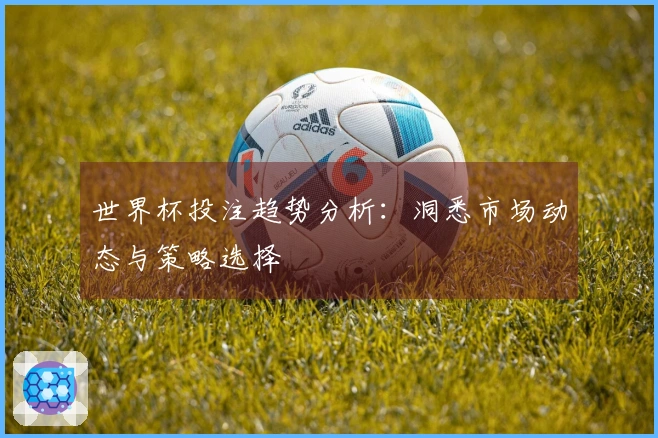 世界杯投注趋势分析：洞悉市场动态与策略选择