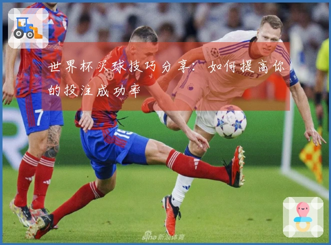 世界杯买球技巧分享：如何提高你的投注成功率