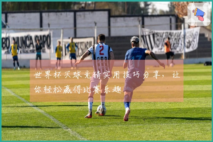世界杯买球竞猜实用技巧分享，让你轻松赢得比赛乐趣