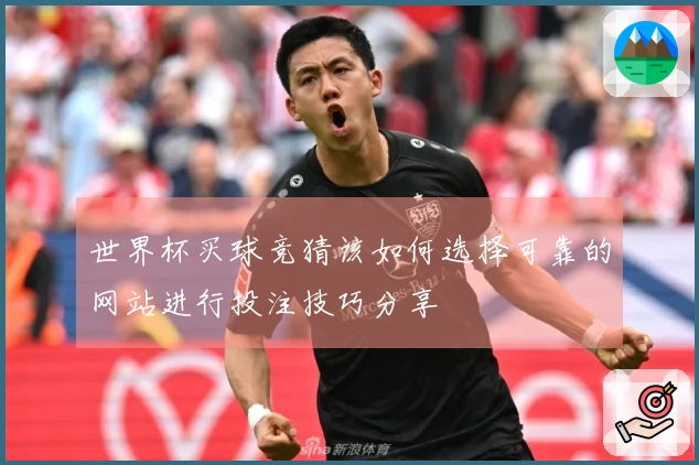 世界杯买球竞猜该如何选择可靠的网站进行投注技巧分享