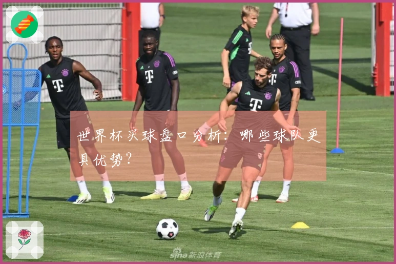 世界杯买球盘口分析：哪些球队更具优势？
